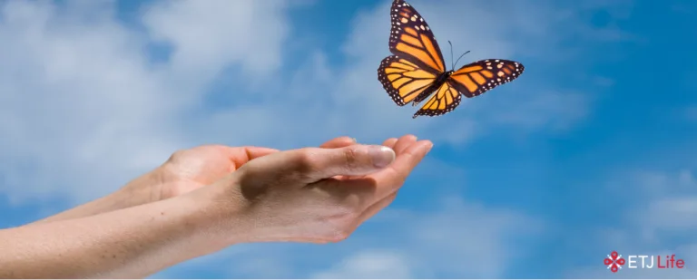 Let Them Fly